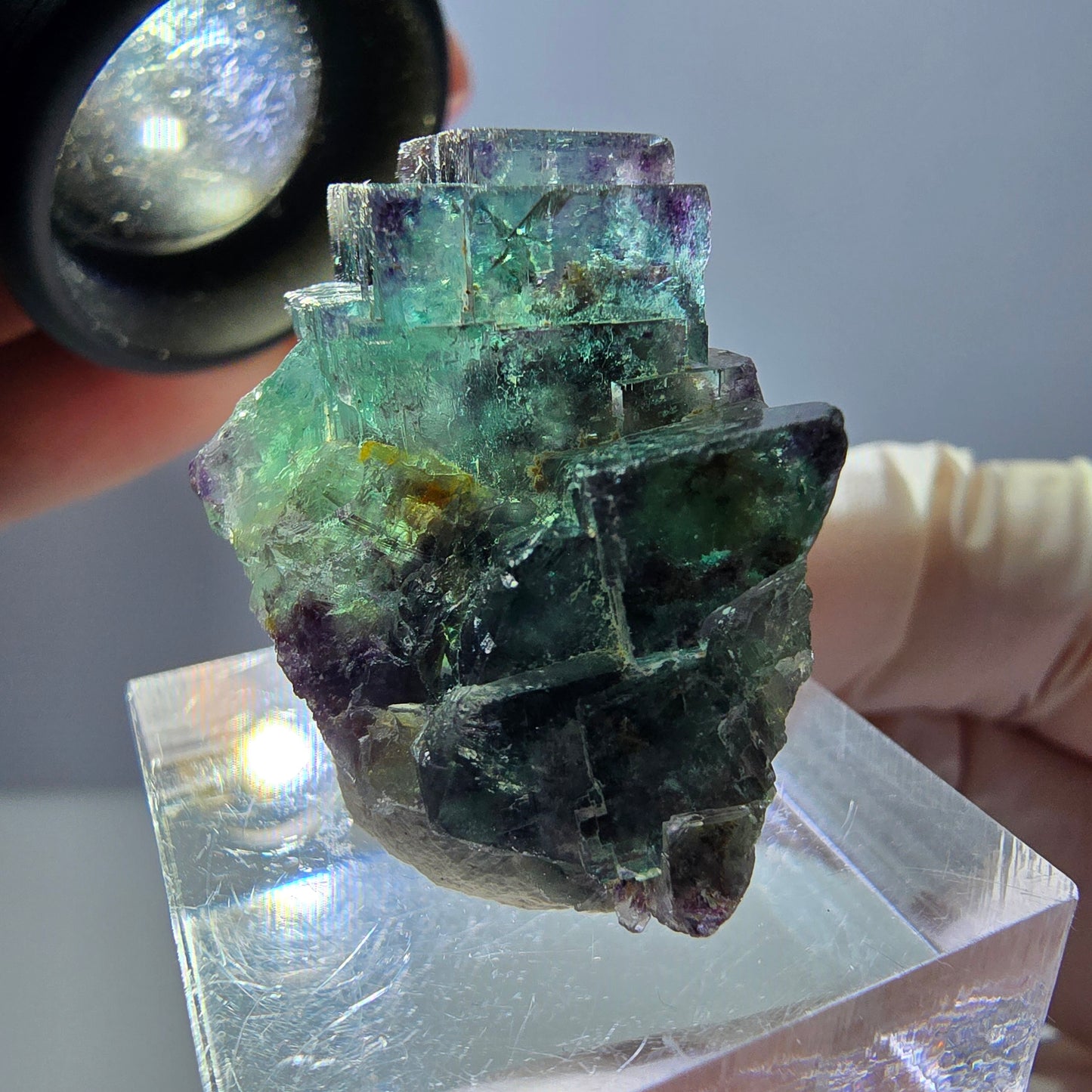 Spécimen de cube de fluorite fantôme, parqueté vert violet Okorusu, Namibie 31*25*18 mm
