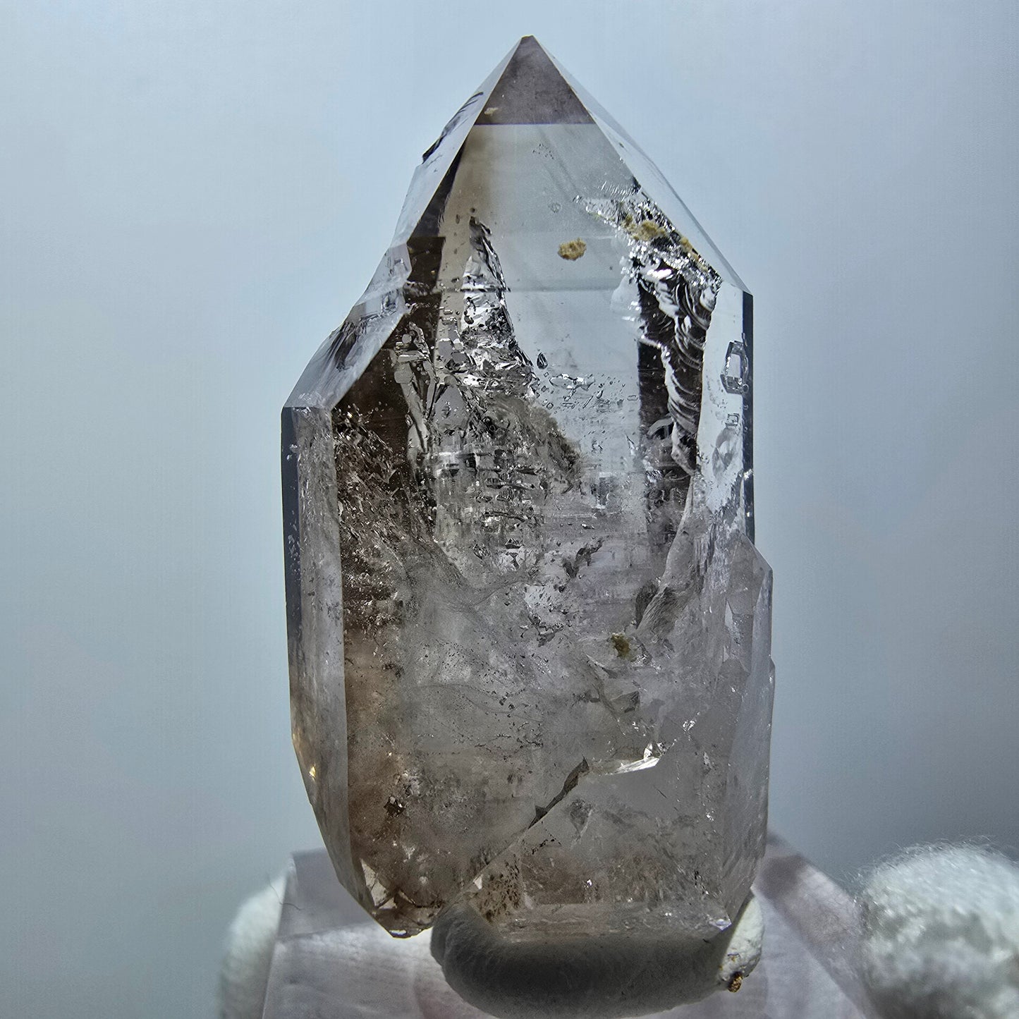 Klarer Phantom Rauchquarz DT Zepter Kristall Goboboseb, Namibia 43*20*18mm