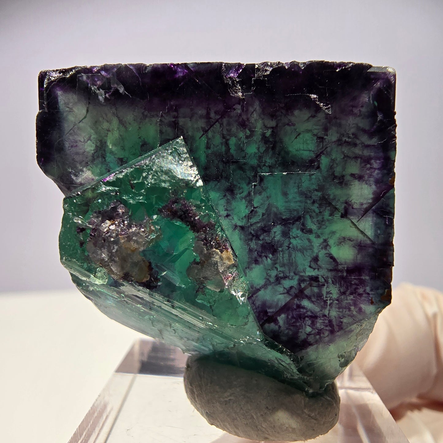 Rare cube de fluorite fantôme parqueté vert violet Okorusu Namibie 32*31*22mm