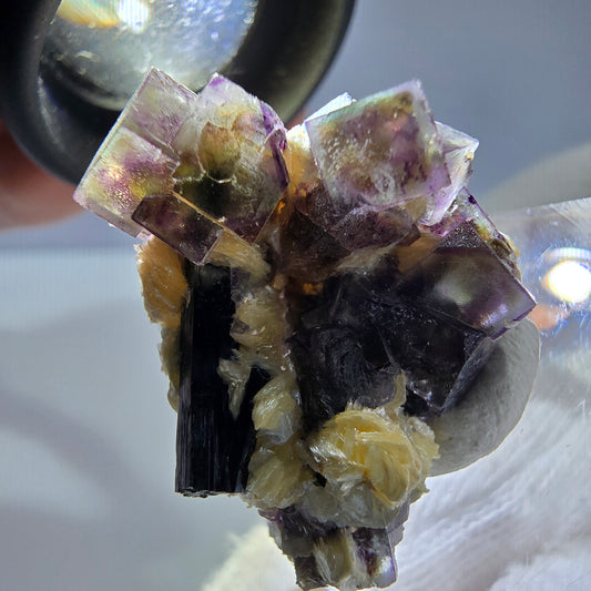 Spécimen de fluorite fantôme colorée, tourmaline scholle, muscovite, Erongo, Namibie, 31 x 21 x 21 mm