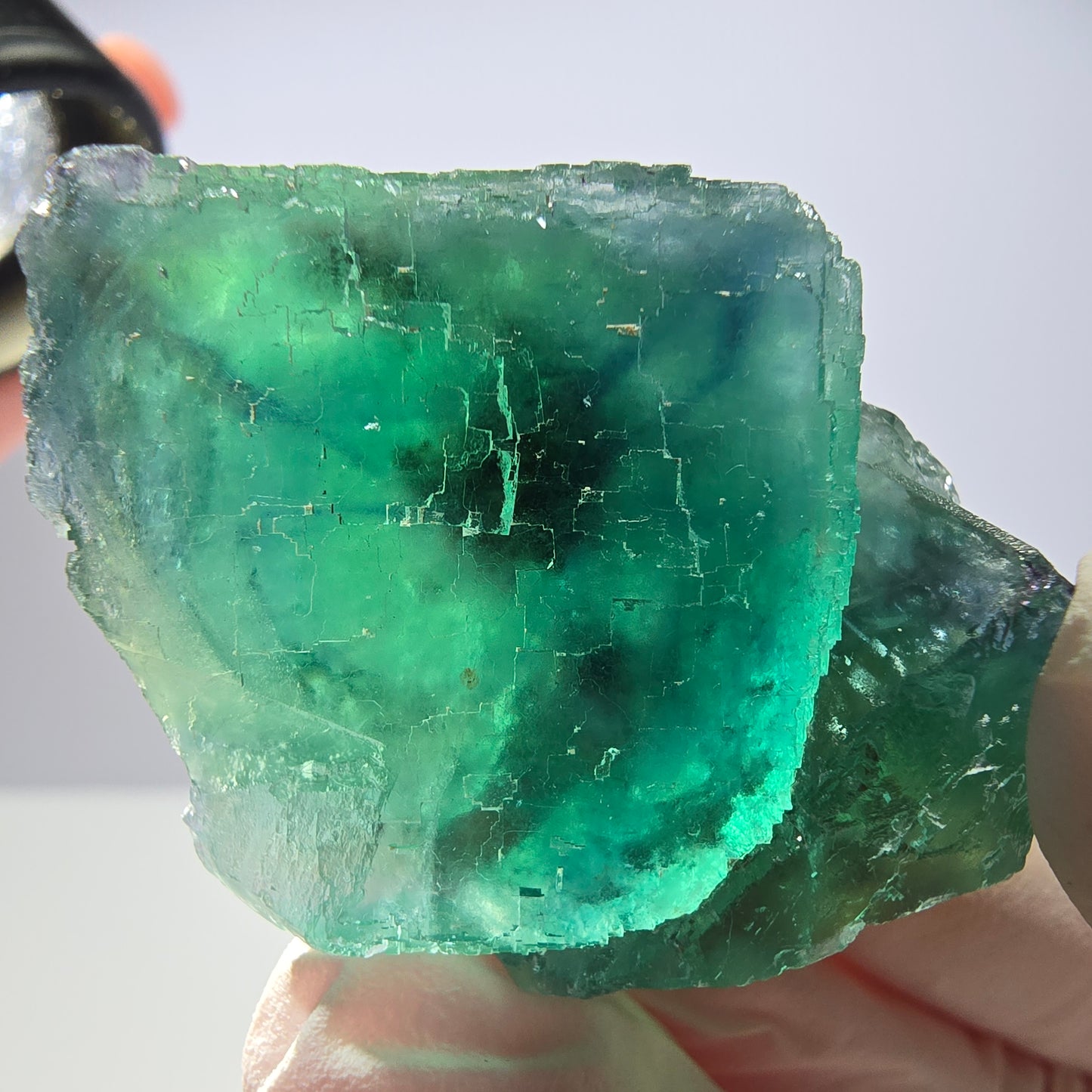 Spécimen de cube de fluorite fantôme transparente, vert parqueté, Okorusu, Namibie, 44 x 32 x 22 mm