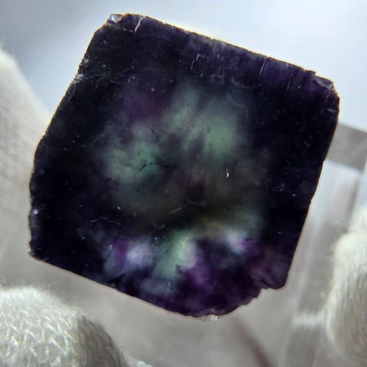 Rare spécimen de cube de fluorite fantôme, vert zonal et violet, Okorusu, Namibie, 19 x 18 x 14 mm