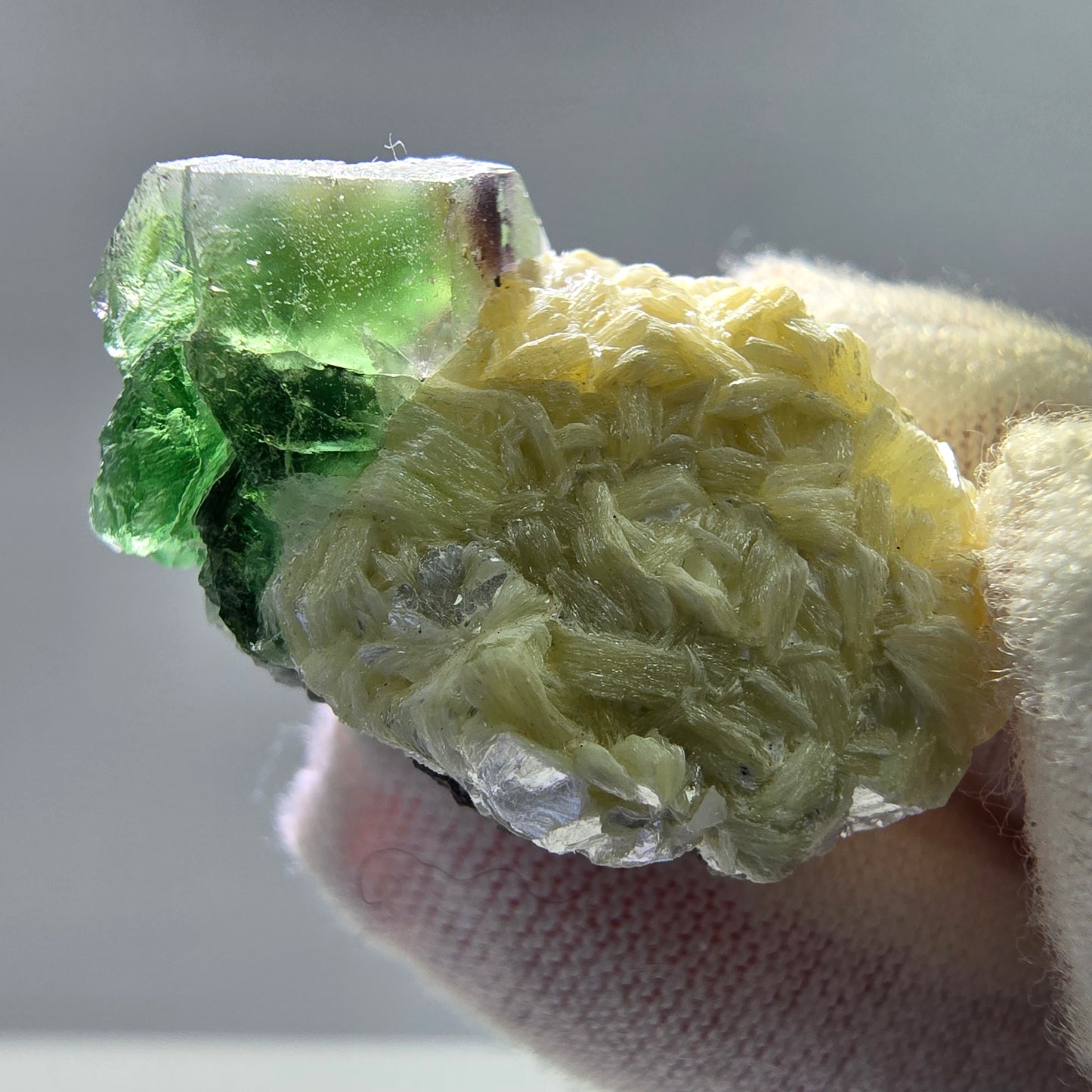 Phantom Fluorit Würfel, Muskovit Stufe Erongo, Namibia 28*21*18mm Sammlung