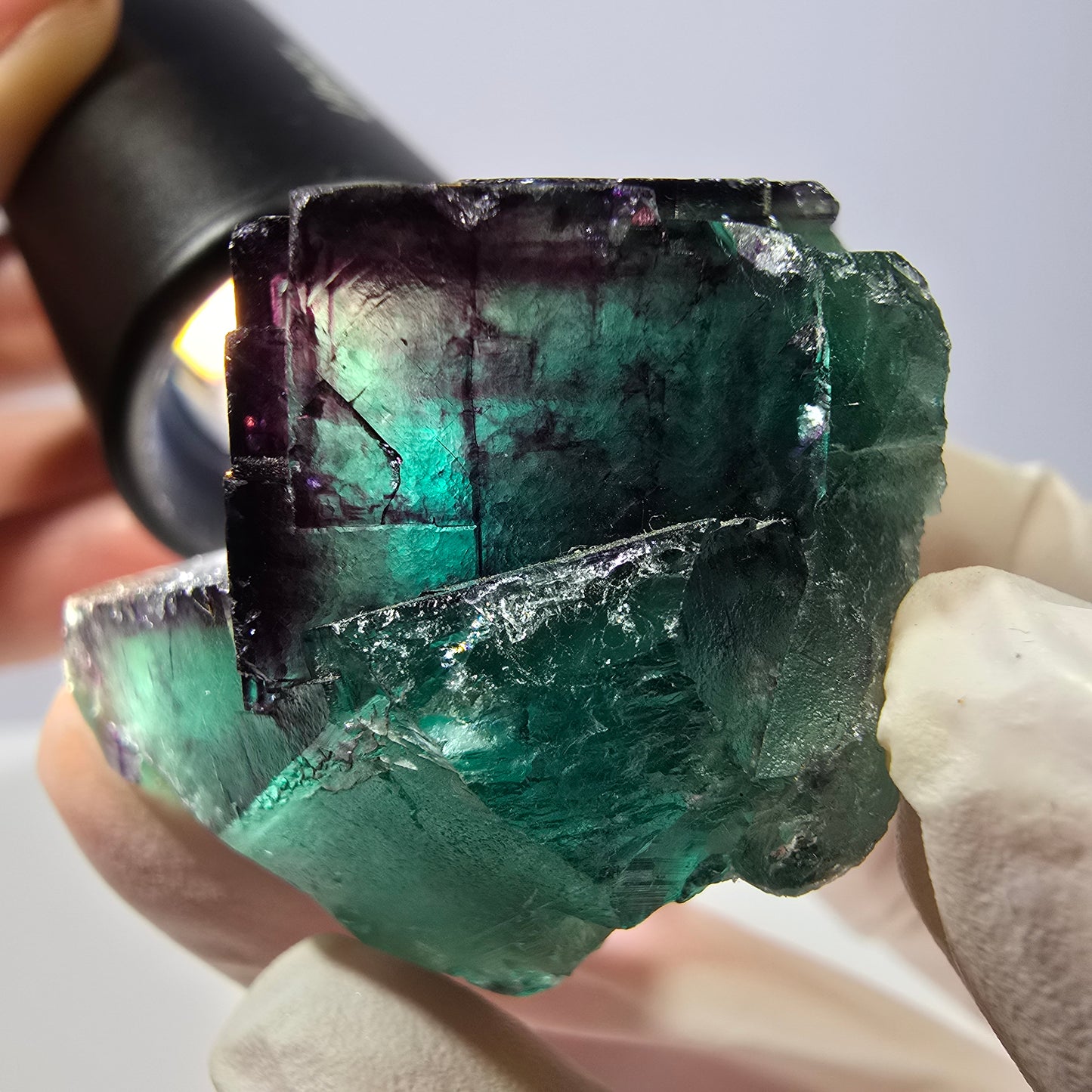 Spécimen de cube de fluorite fantôme, parqueté vert violet Okorusu, Namibie 41*41*25 mm