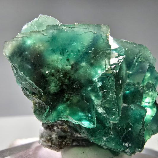 Cube de fluorite fantôme très clair, vert Okorusu namibie, Collection 65x44x40mm