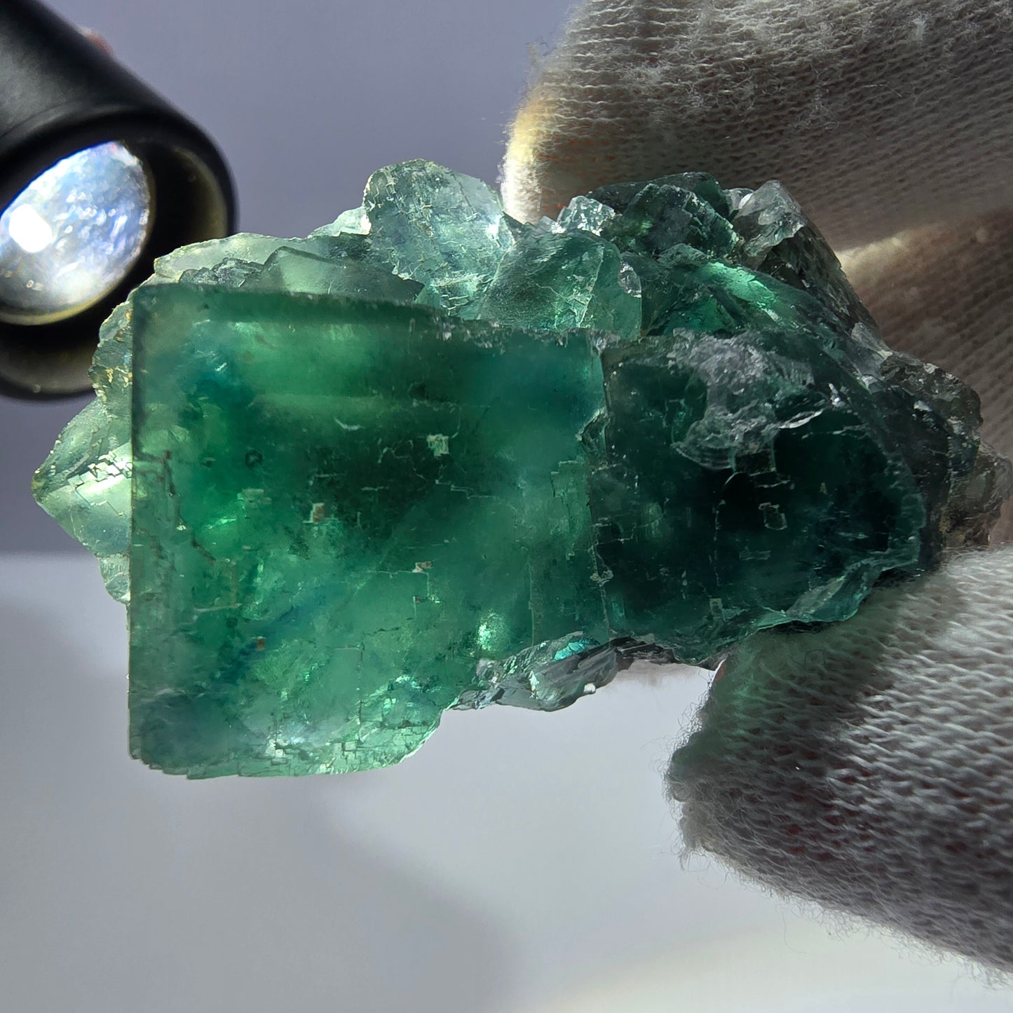 Rare spécimen de cube de fluorite fantôme, parqueté vert Okorusu, Namibie, 50 x 34 x 23 mm