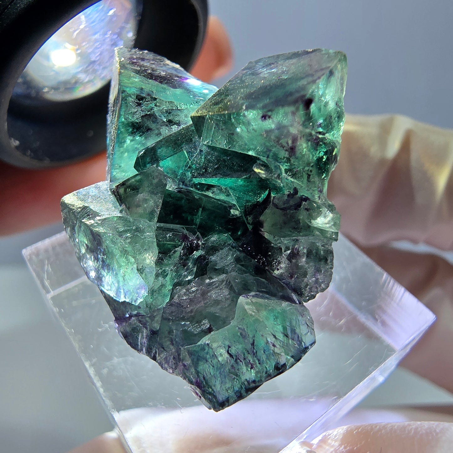 Phantom Fluorit Würfel Stufe, parkettiert grün lila Okorusu, Namibia 31*25*14mm