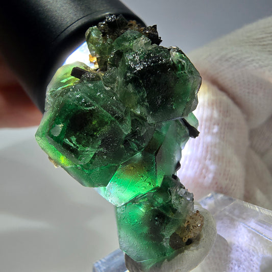 Fluorite fantôme hexagonale Schörl Tourmaline Quartz fumé Hyalite Erongo, Namibie 39*25*22mm