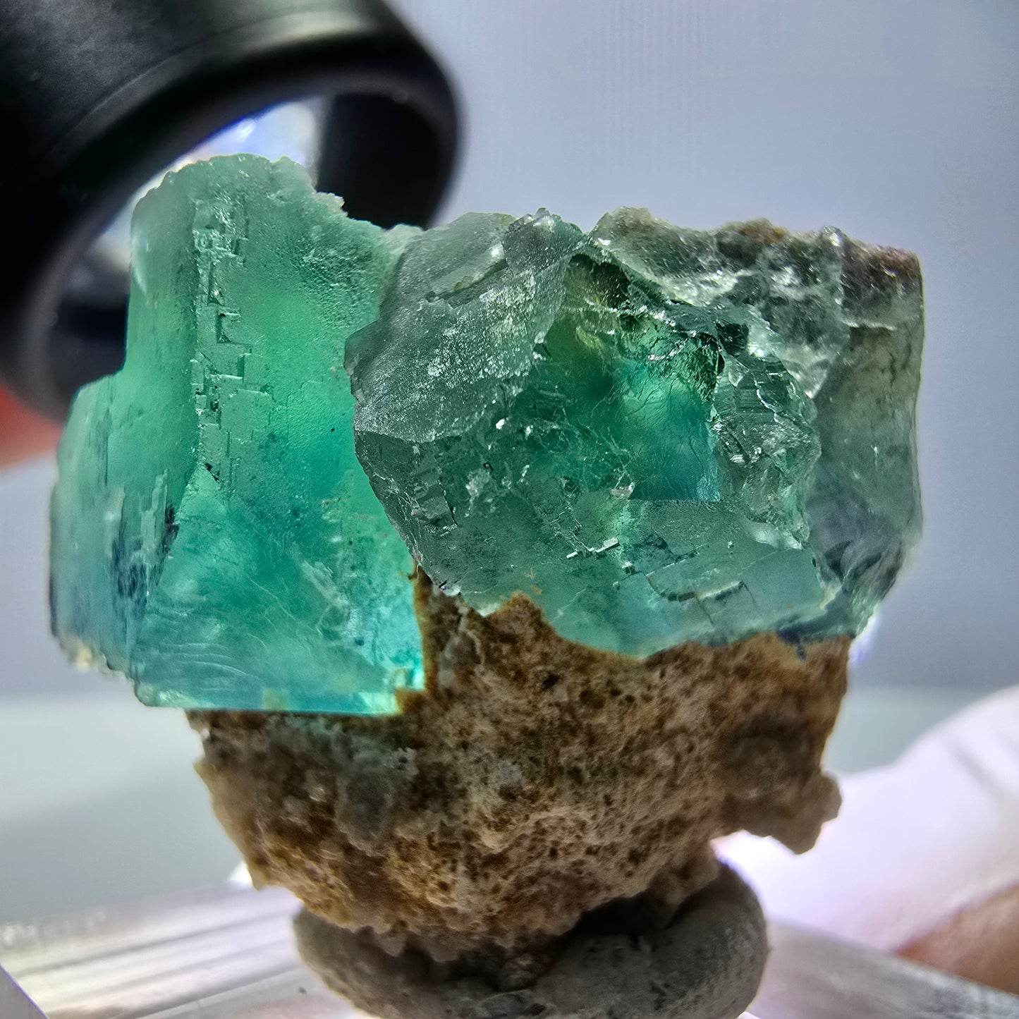 Spécimen de cube de fluorite fantôme, parquet vert Okorusu, Namibie 34*29*28 mm