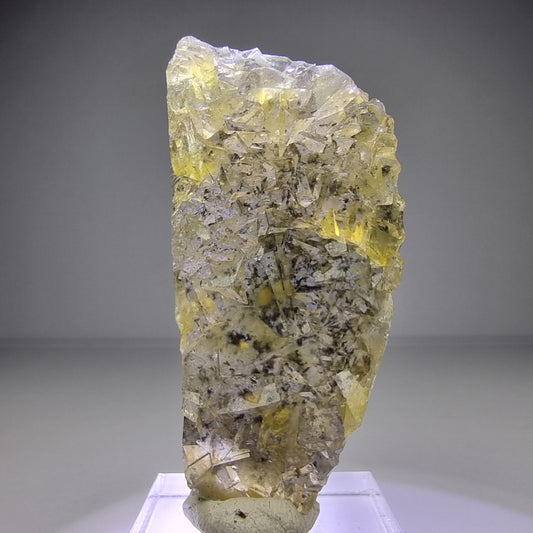 Rare cube de fluorite de poche au miel clair de qualité 51*25*8mm d'OkorusuNamibia