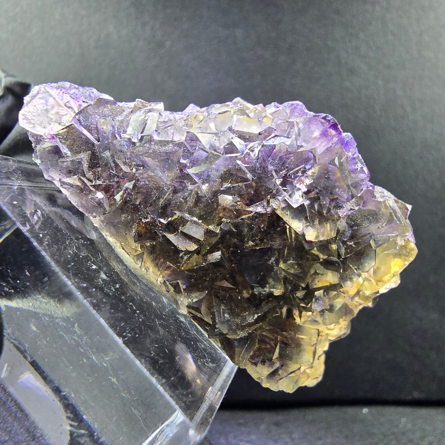 Seltene Honey Pocket Phantom Fluorit XX Würfel Stufe 46*22*23mm Okorusu, Namibia