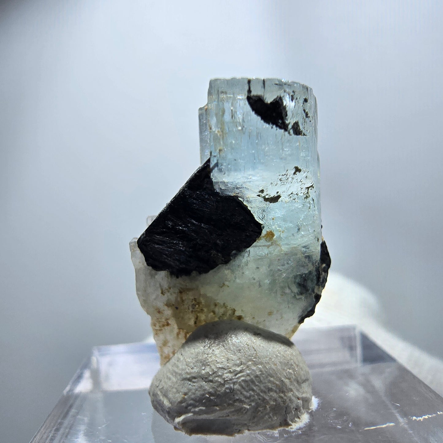 Seltener Aquamarin X mit Schörl Turmalin Erongo, Namibia 22*14*9mm