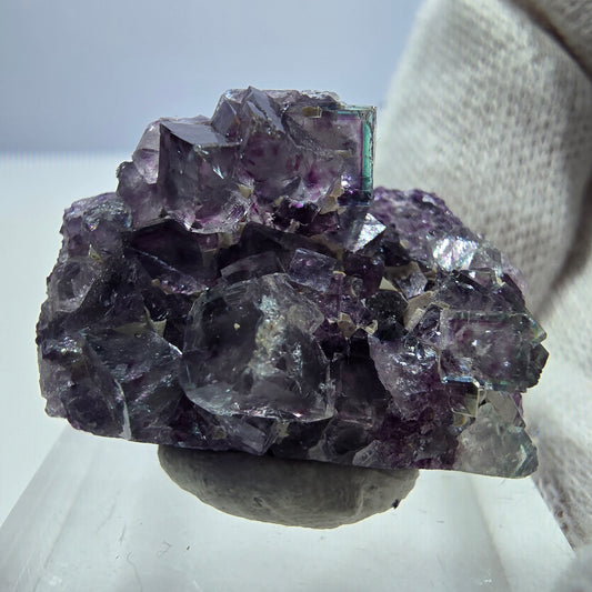 Spécimen de cube de fluorite fantôme transparente, vert-violet zonal, Okorusu, Namibie, 27 x 20 x 12 mm