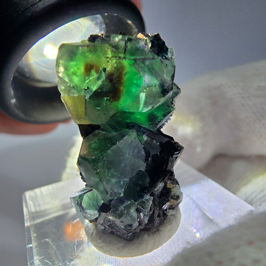 Cube de fluorite fantôme zonal, tourmaline muscovite Schorl Erongo Namibie 24 x 16 x 12 mm