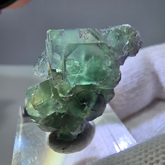 Spécimen de cube de fluorite fantôme zonal, de muscovite et de tourmaline Schorl, Erongo, Namibie, 30 x 22 x 20 mm