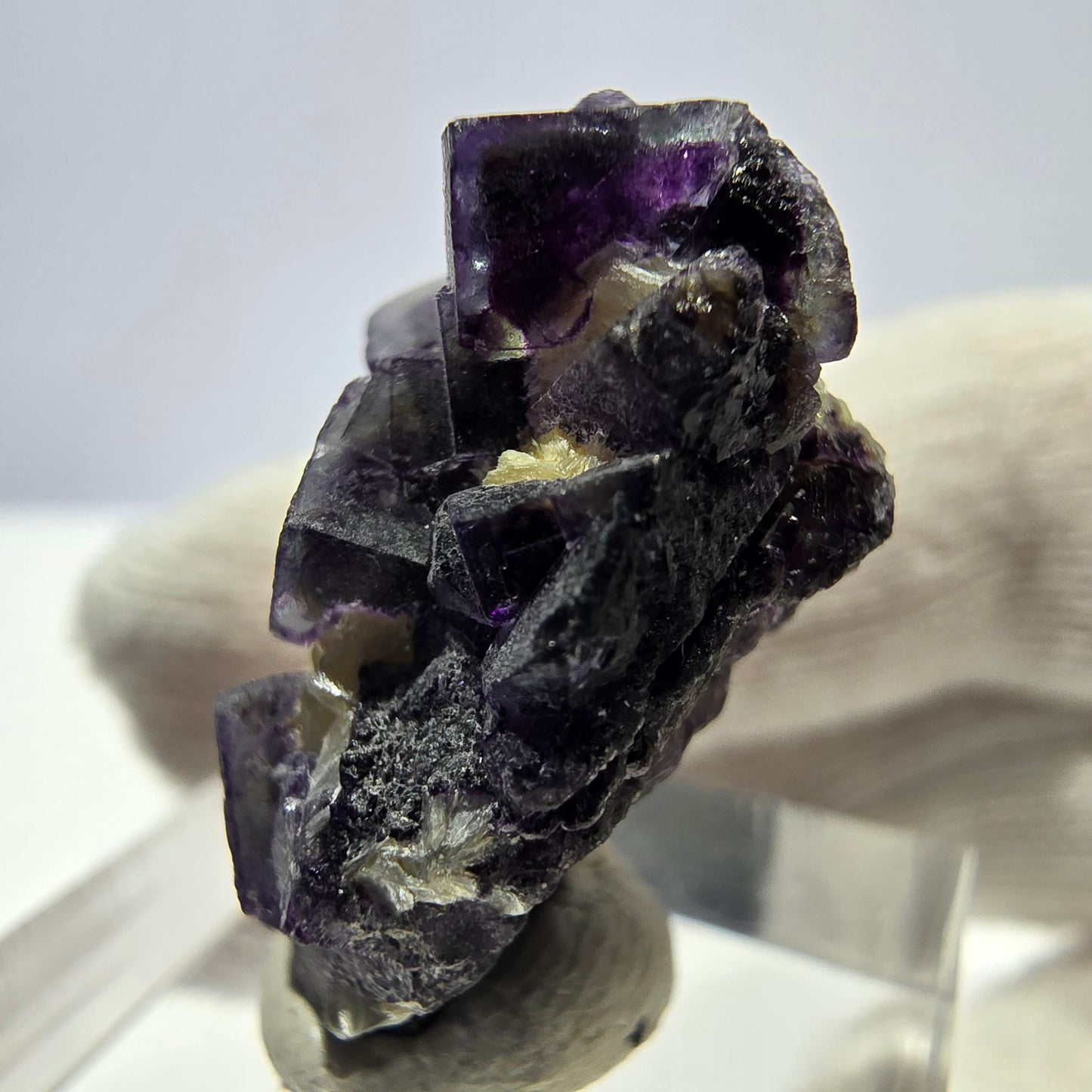 Cubes de fluorite fantôme colorés, spécimen de muscovite, Erongo, Namibie, 26 x 19 x 15 mm