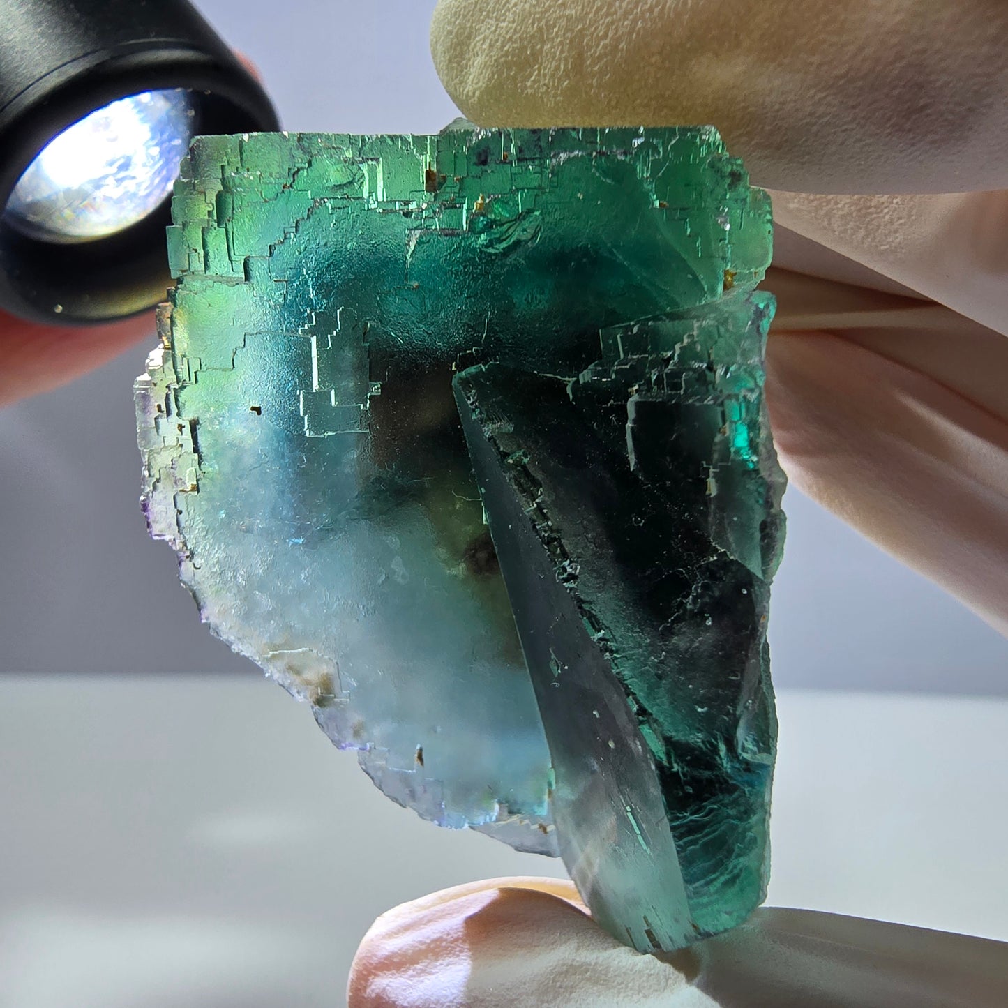 Spécimen de cube de fluorite fantôme transparente, vert parqueté, Okorusu, Namibie, 62 x 34 x 32 mm