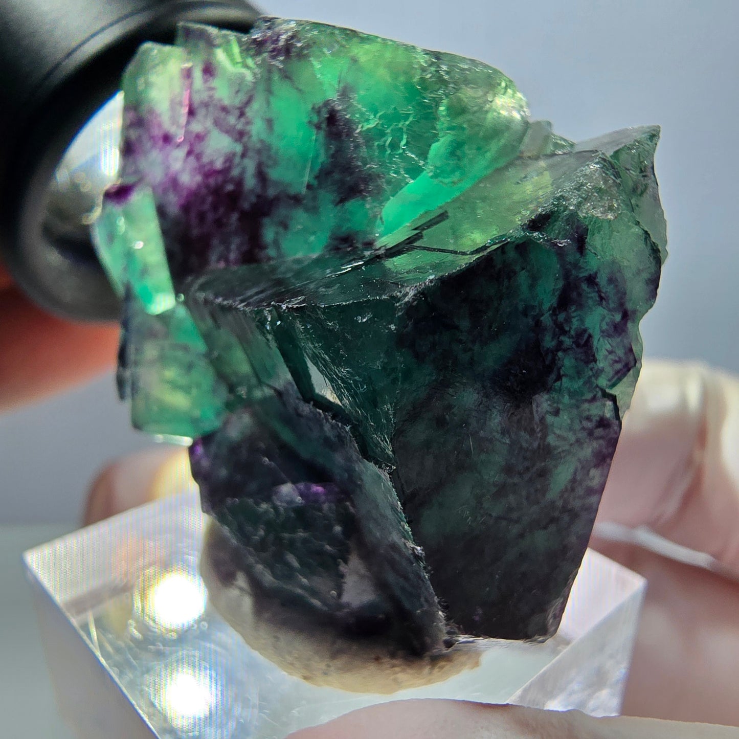 Spécimen de cube de fluorite fantôme, parqueté vert violet Okorusu, Namibie 40*31*20 mm