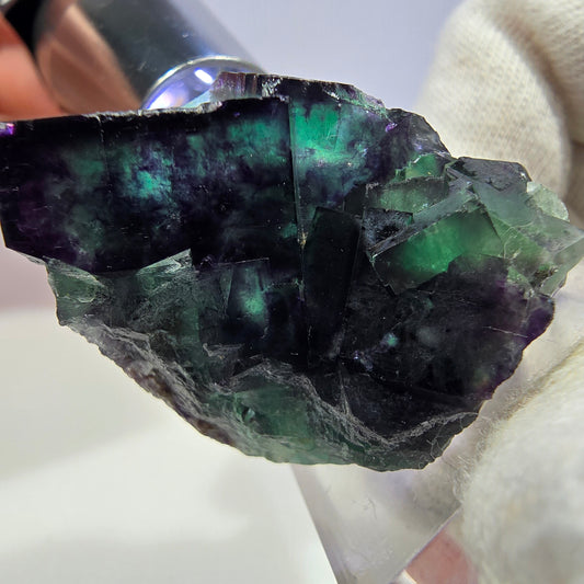 Spécimen de cube de fluorite fantôme transparente, vert-violet zonal, Okorusu, Namibie, 36 x 31 x 23 mm