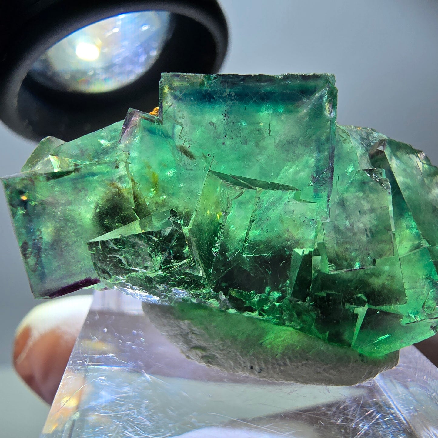 Rare spécimen de cube de fluorite, vert-violet, Okorusu, Namibie, 37 x 21 x 18 mm