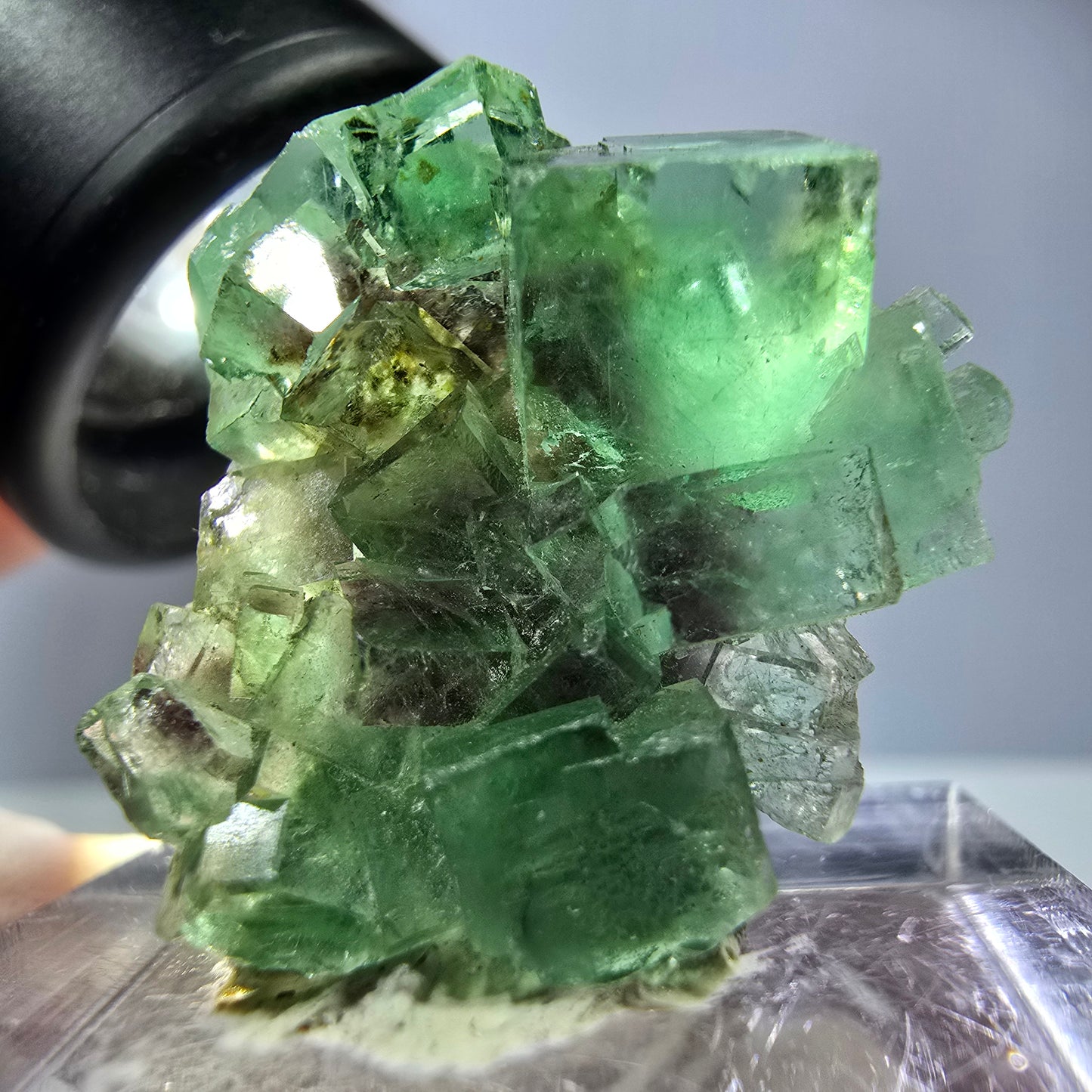 Spécimen de cube de fluorite fantôme, vert violet, Okorusu, Namibie, 25 x 24 x 15 mm