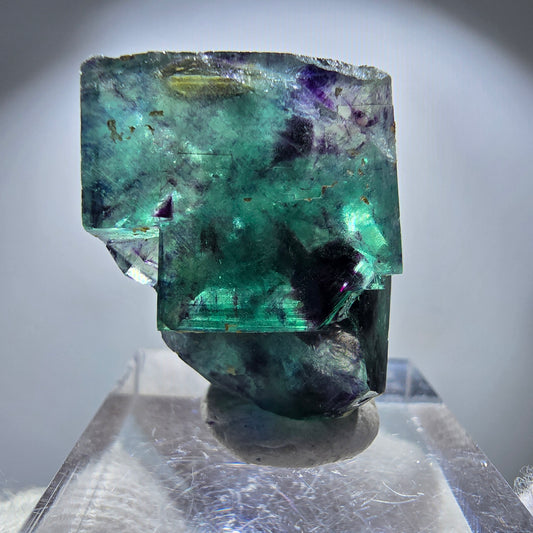 Spécimen rare de cube de fluorite fantôme, vert zonal et violet, Okorusu, Namibie, 28 x 25 x 16 mm