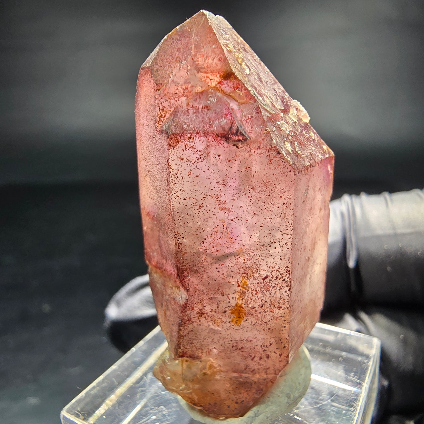Beautiful Phantom Scepter Amethyst Point purple Brandberg Namibia 40*22*16mm Collection
