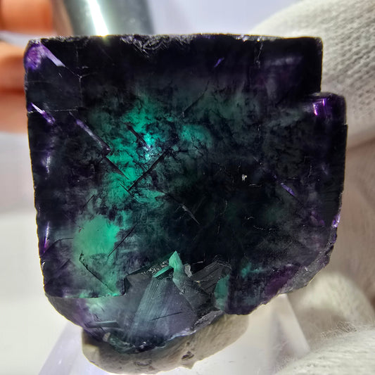 Spécimen de cube de fluorite fantôme transparente, vert-violet zonal, Okorusu, Namibie, 37 x 32 x 29 mm