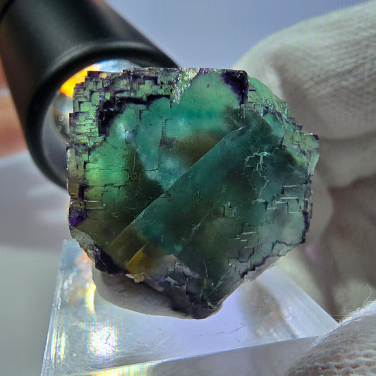 Spécimen de cube de fluorite fantôme parqueté zonal Okorusu, Namibie 30*24*22mm