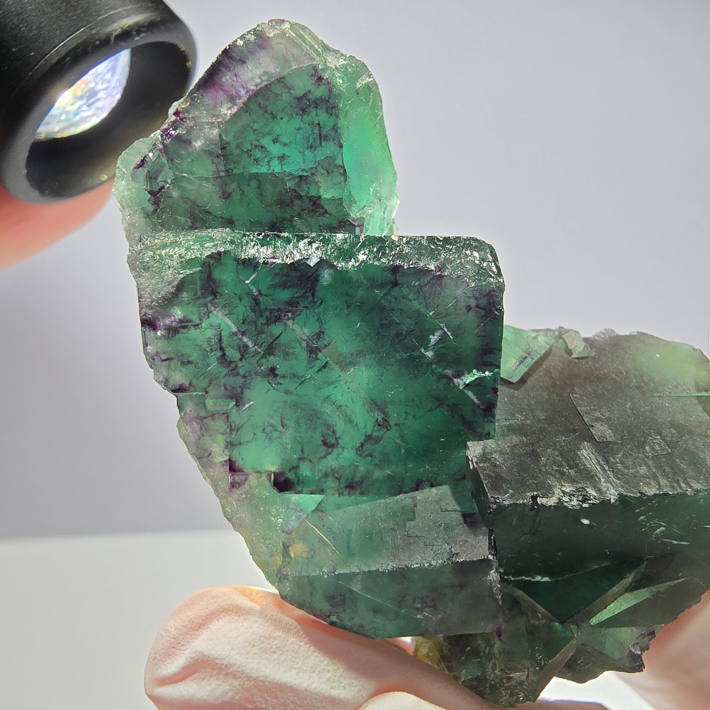 Spécimen de cube de fluorite fantôme parqueté vert violet Okorusu, Namibie 66*42*22mm