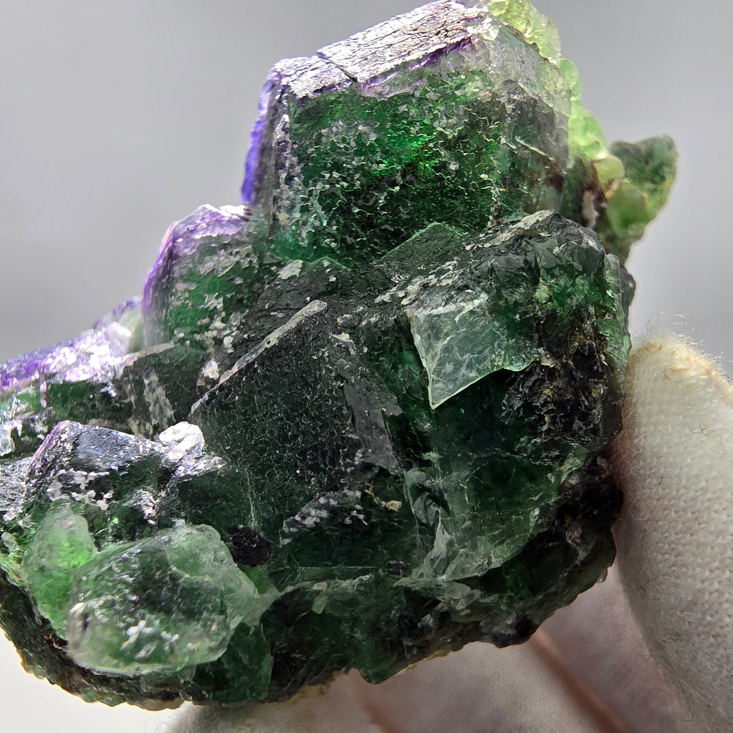 Phantom Fluorit Würfel Stufe grün lila Erongo, Namibia 67*40*35mm Sammlung