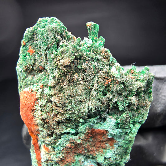 Spécimen rare de malachite avec Kaokoveld vert, collection de minéraux namibie 40*26*15mm