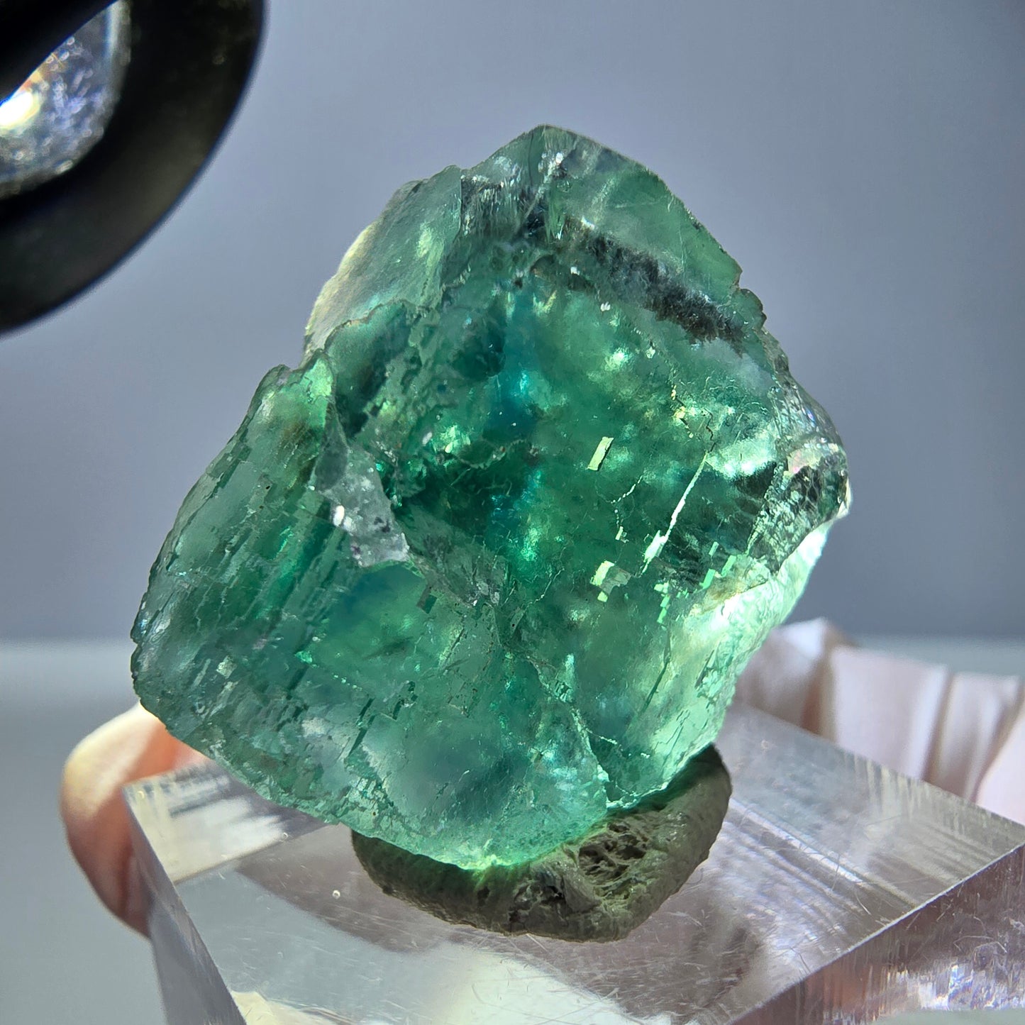 Cube de fluorite fantôme transparente parquetée, vert Okorusu, Namibie 23 x 22 x 15 mm