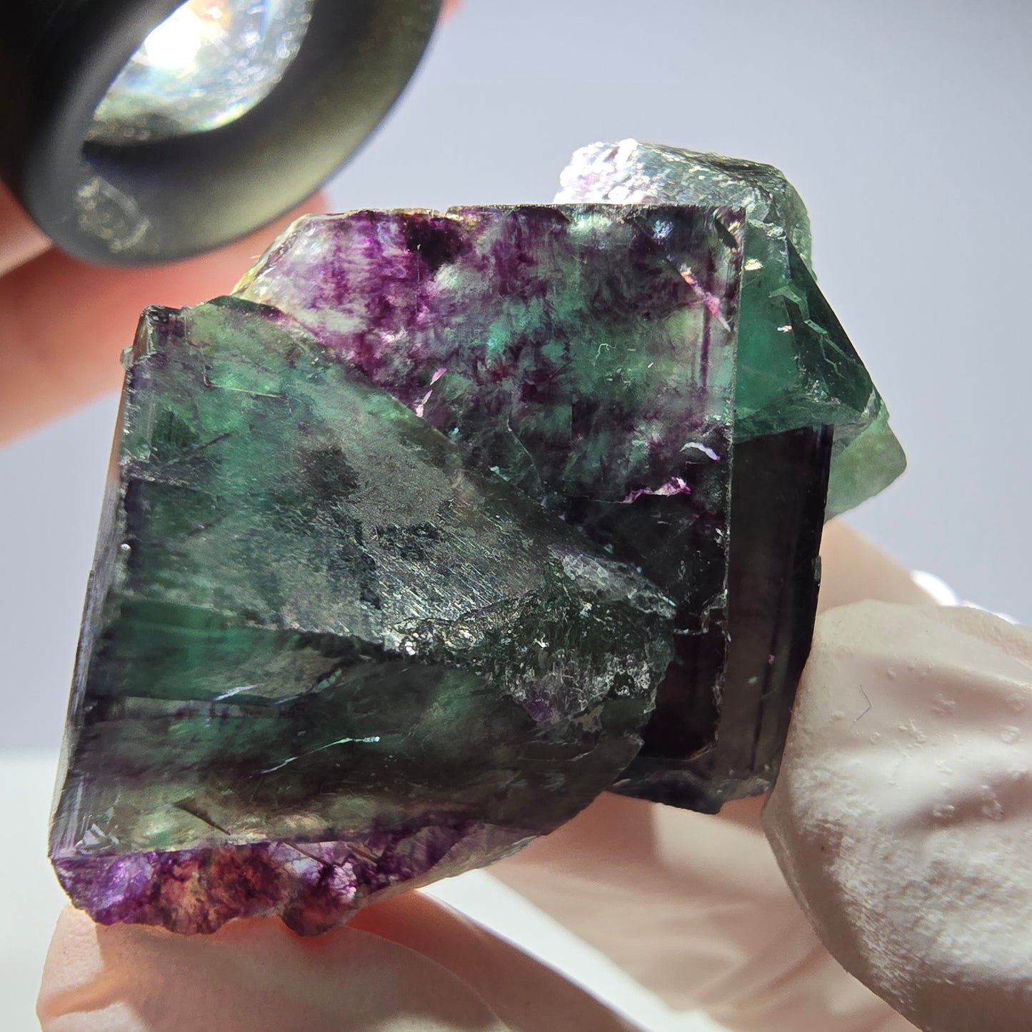 Spécimen de cube de fluorite fantôme parqueté vert violet Okorusu, Namibie 45*28*25 mm