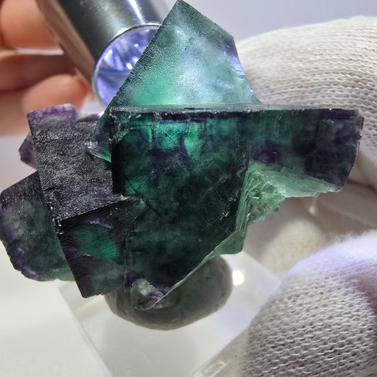 Spécimen de cube de fluorite fantôme transparente, vert-violet zonal, Okorusu, Namibie, 51 x 33 x 33 mm