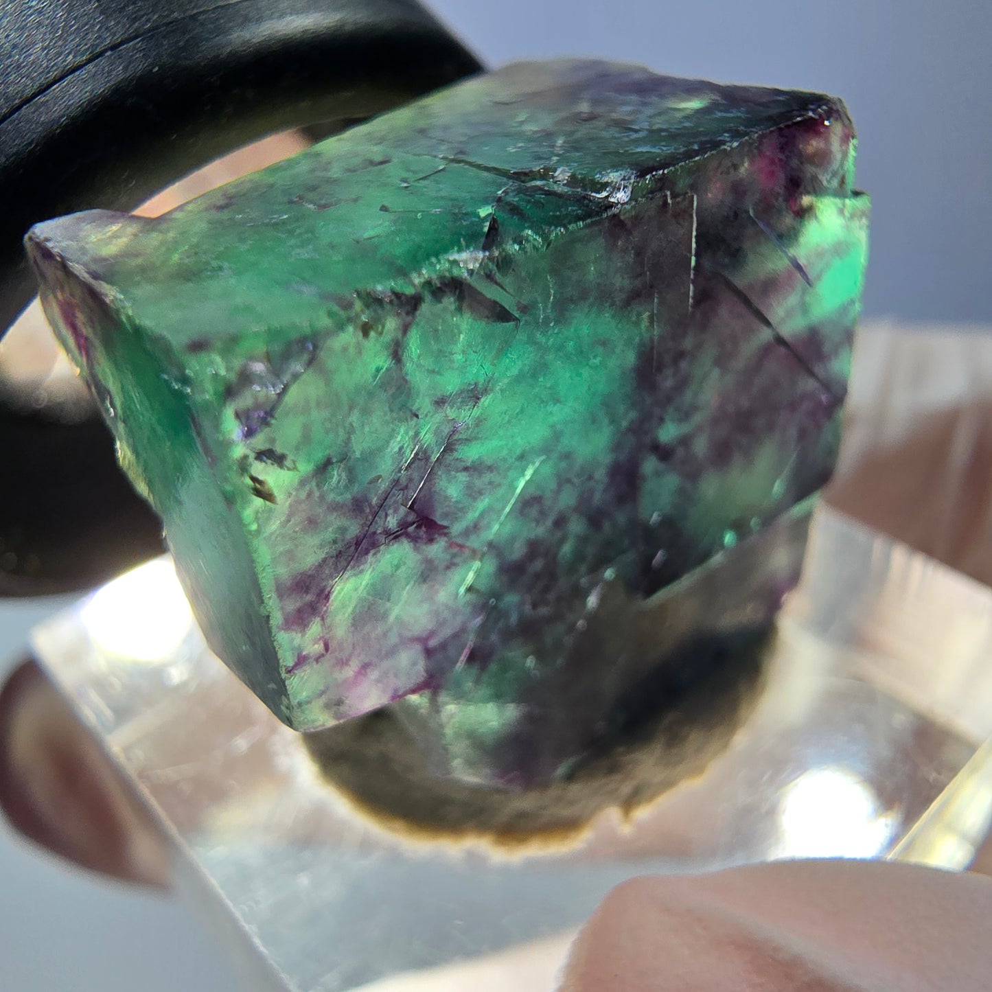 Phantom Fluorit Würfel parkettiert, grün lila Okorusu, Namibia 21*19*16mm
