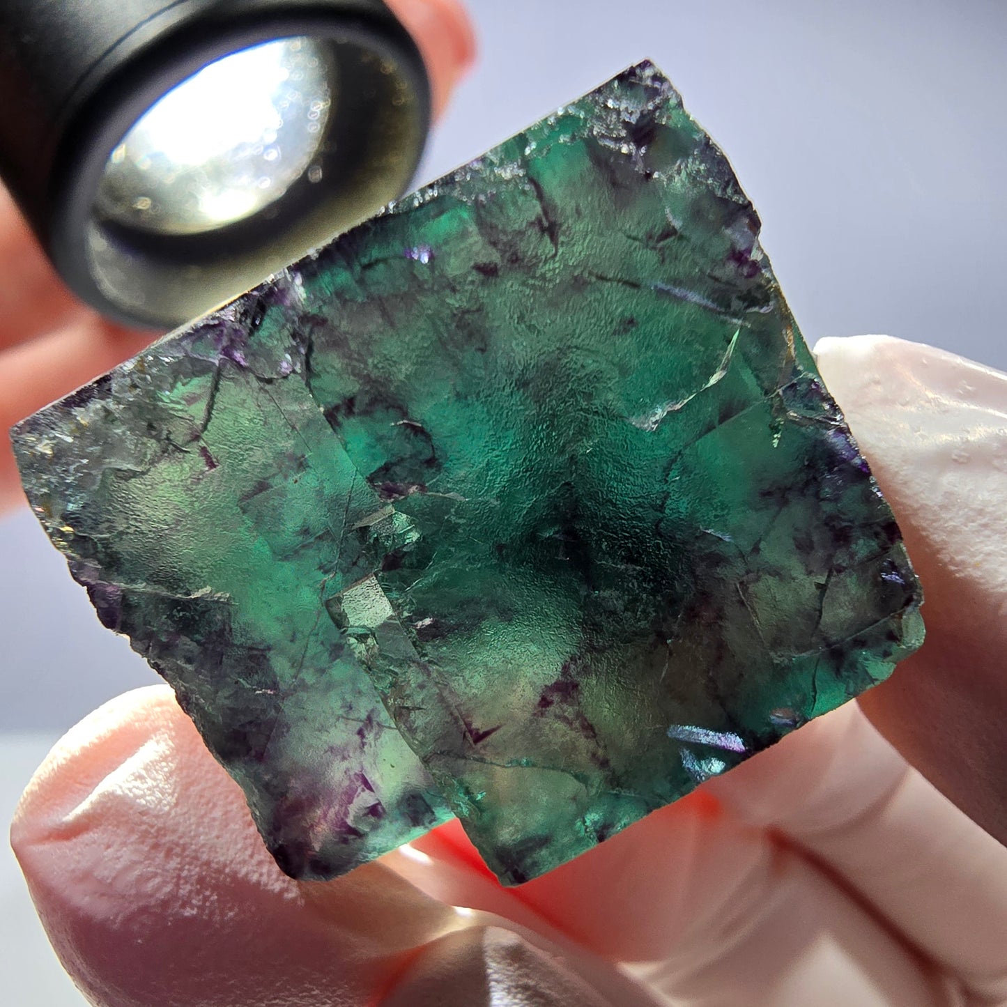 Spécimen de cube de fluorite fantôme parqueté vert violet Okorusu, Namibie 34*31*24mm