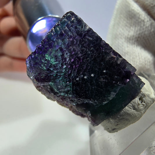 Spécimen de cube de fluorite fantôme transparente, vert-violet zonal, Okorusu, Namibie, 37 x 27 x 19 mm