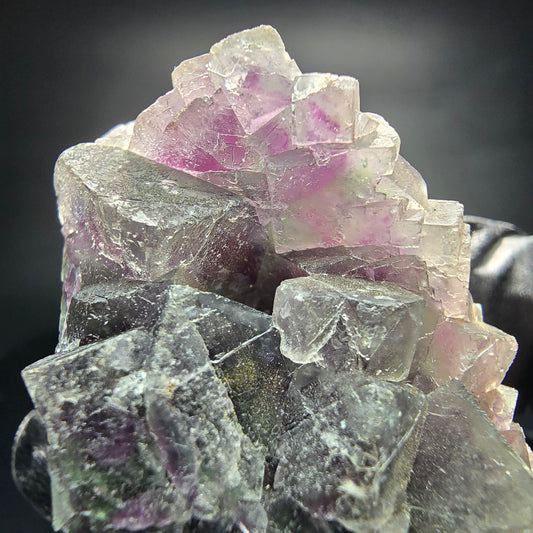 Phantom Fluorite Cube Tier Vert Violet Blanc Okorusu, Namibie 52*33*27mm Collection