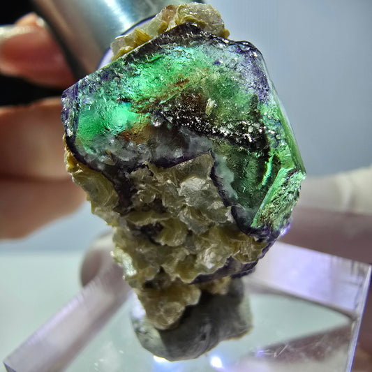 Cube hexagonal de fluorite fantôme, muscovite, tourmaline Schörl, Erongo, Namibie 27 x 20 x 18 mm