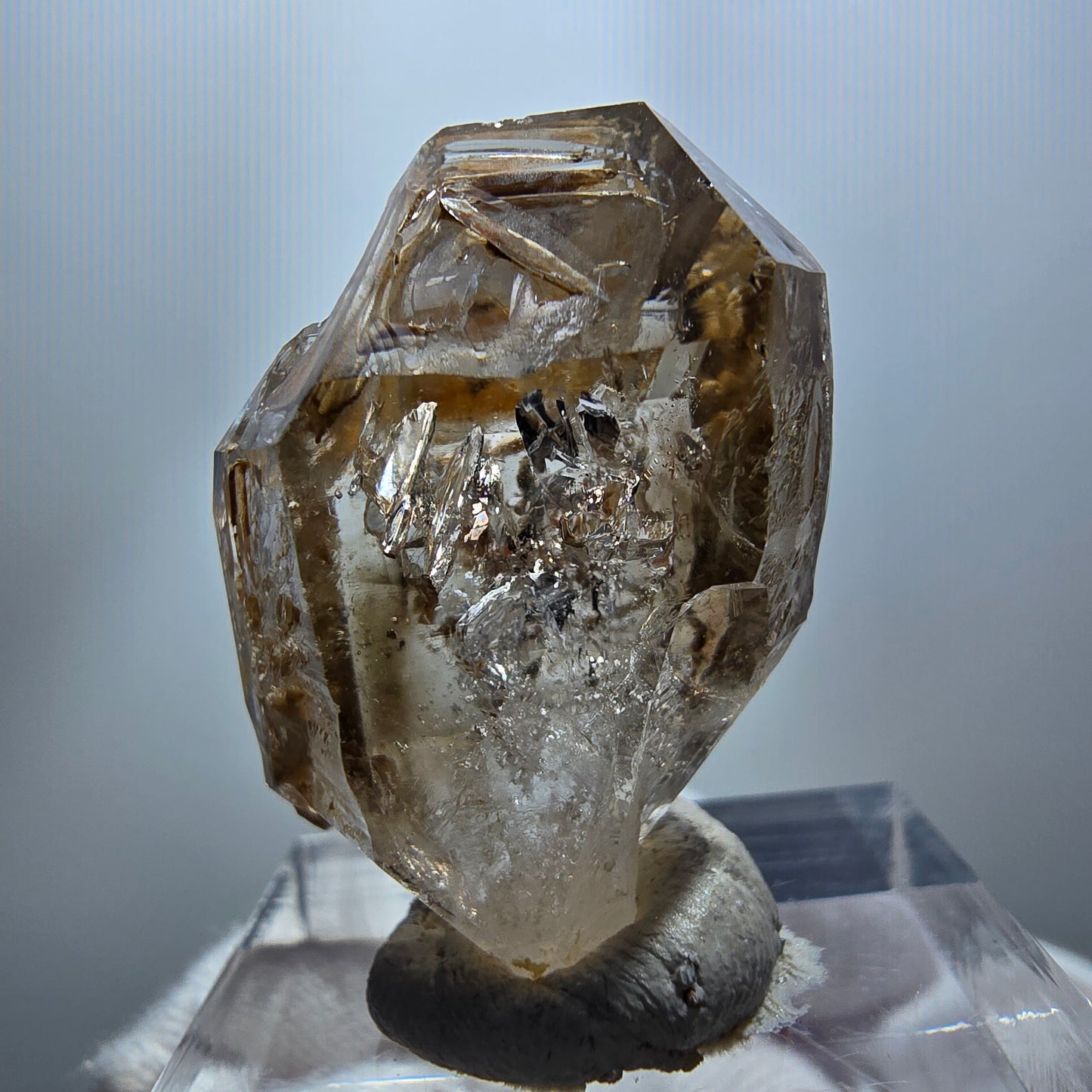 Phantom Rauchquarz DT Skelett Zepter Kristall Goboboseb, Namibia 28*21*13mm