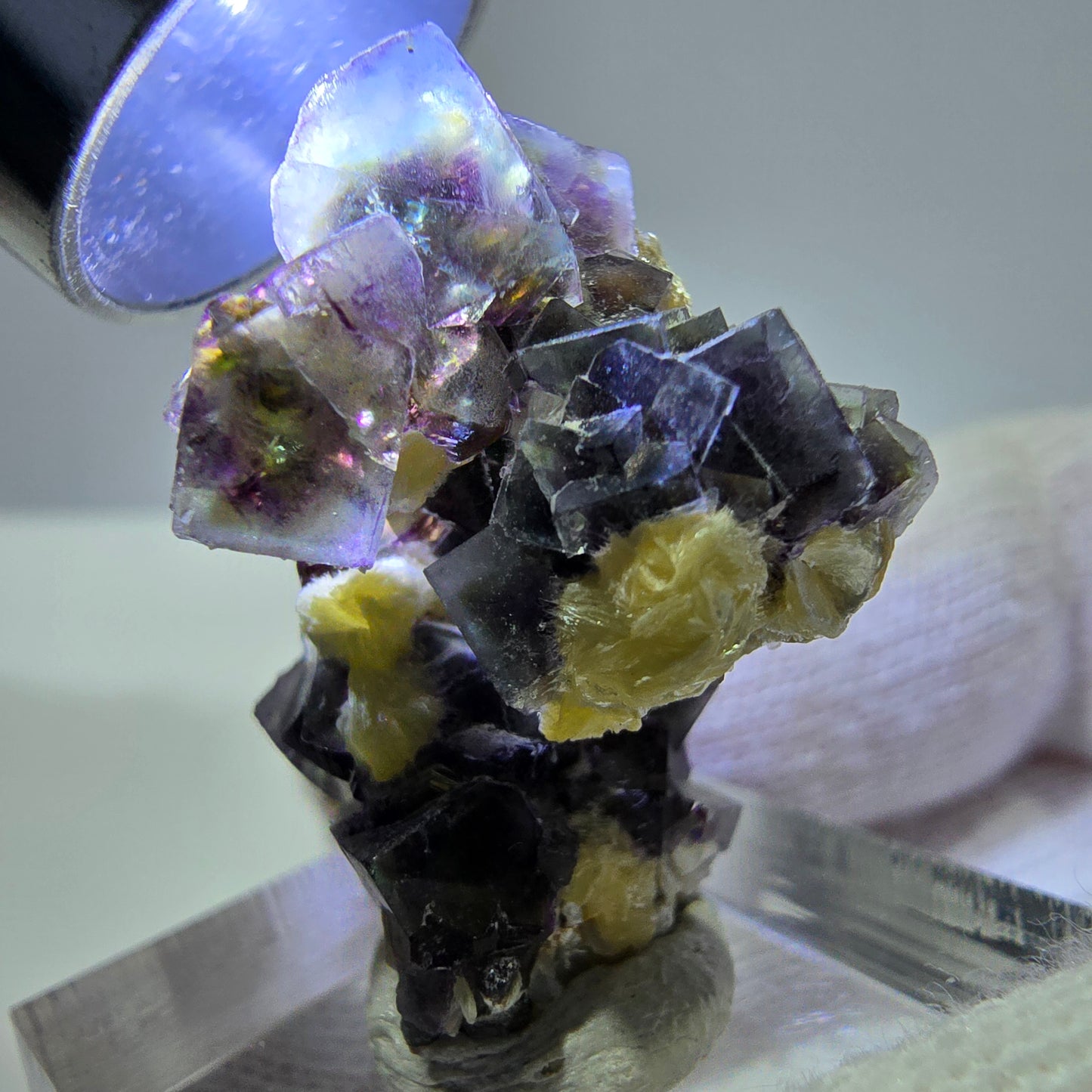 Cubes de fluorite fantôme colorés, spécimen de muscovite, Erongo, Namibie, 28 x 20 x 20 mm