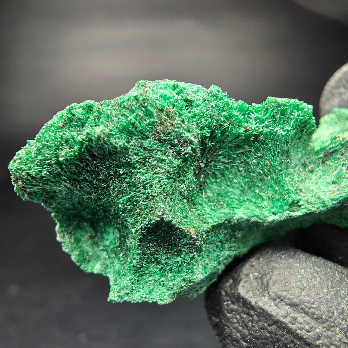 Seltene Malachit Stufe, grün Kaokoveld, Namibia 35*19*16mm Mineraliensammlung