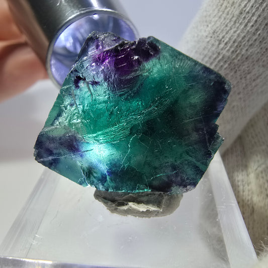 Rare cube de fluorite fantôme, vert violet zonal Okorusu, Namibie 26*24*18 mm