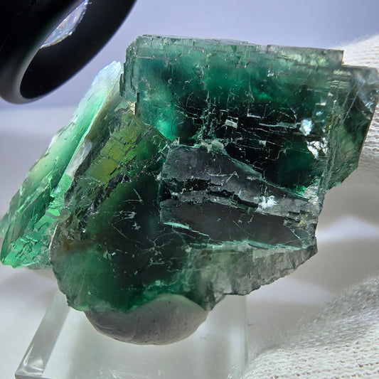 Spécimen de cube de fluorite fantôme, parqueté vert-brun Okorusu, Namibie 55 x 40 x 25 mm
