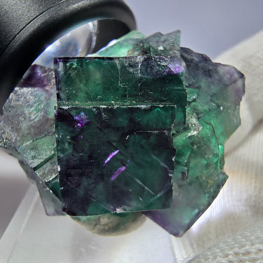 Spécimen rare de cube de fluorite fantôme, vert-violet zonal, Okorusu, Namibie, 40 x 36 x 22 mm
