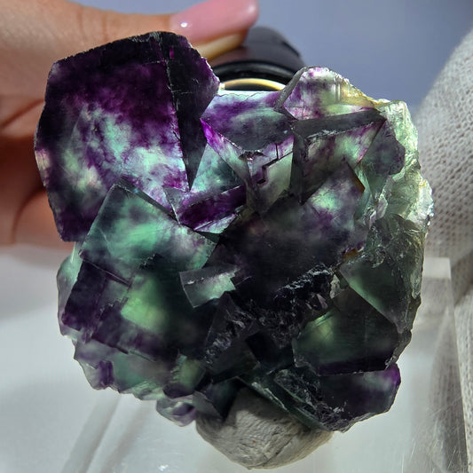 Spécimen rare de cube de fluorite fantôme, vert zonal et violet, Okorusu, Namibie, 49 x 47 x 18 mm