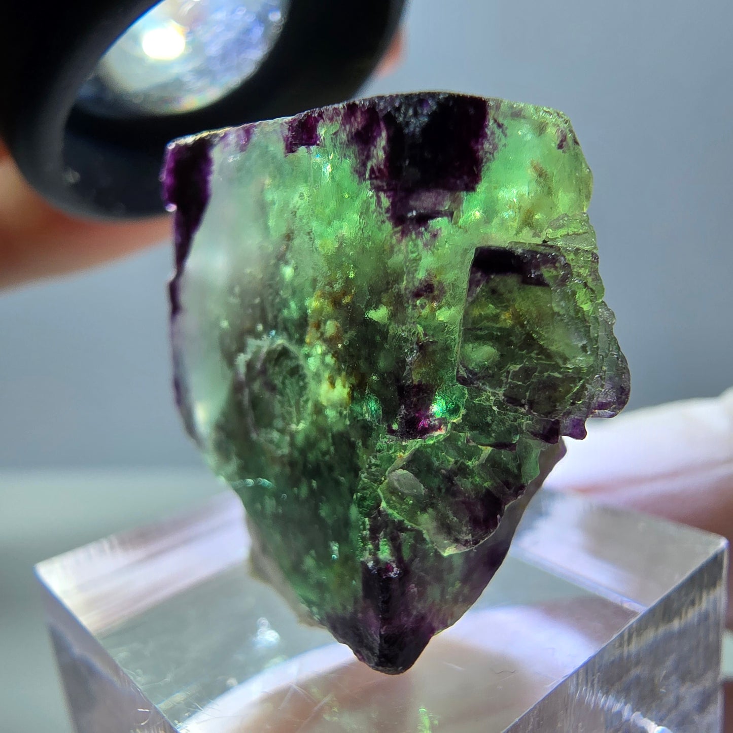 Phantom Fluorit Würfel Stufe, parkettiert, zonal Okorusu, Namibia 27*24*14mm