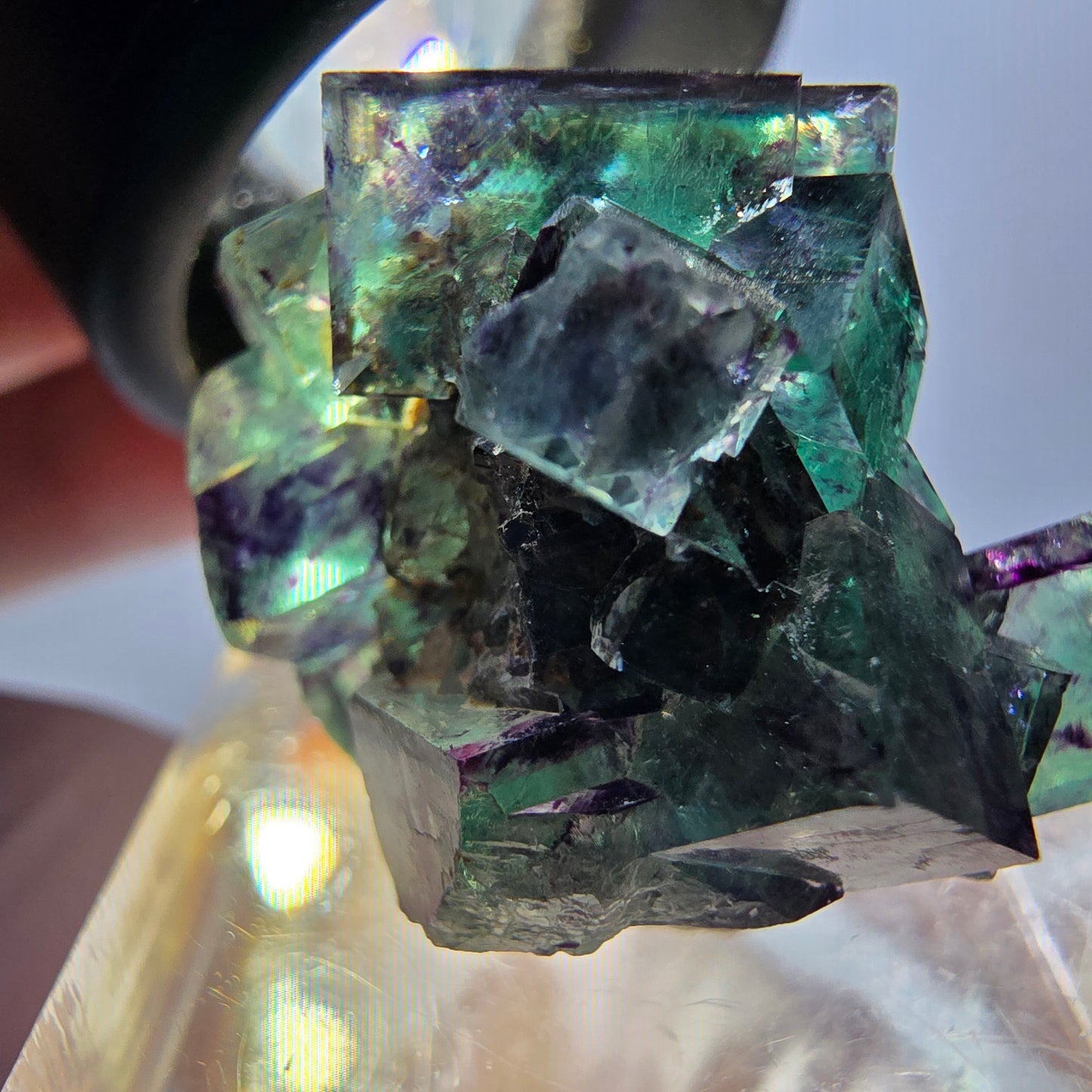 Spécimen de cube de fluorite fantôme, parqueté vert violet Okorusu, Namibie 27*21*19 mm