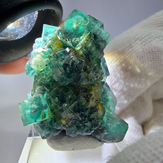 Cube de fluorite fantôme, spécimen de tourmaline Schorl, Erongo, Namibie, 34 x 27 x 22 mm